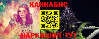 крисы Севастополь