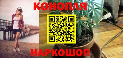 крисы Севастополь